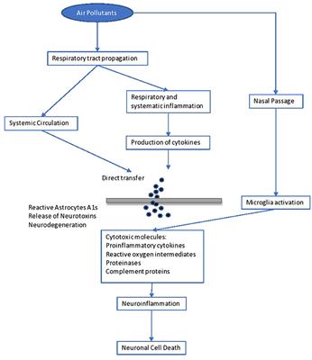 Environmental and Health Impacts of Air Pollution: A Review